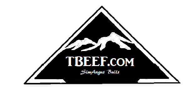 TBeef Logo
